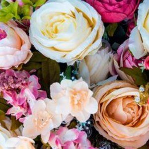 Meet your Posher, Faye